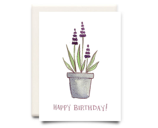 Birthday Card